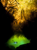 A Diver Exploring an Underwater Cave in a Cenote