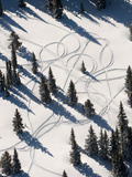 Aerial View of Snowmobile Track Patterns in the Trees Near Park City