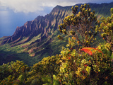 The Kalalau Valley from Pu'U O Kila in Na Pali Kona Forest Preserve