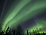 The Aurora Borealis Streaks the Sky Above Birch Creek