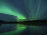 The Aurora Borealis Streaks the Sky Above Birch Creek