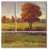 Field in Fall