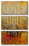 Vivid Birch Forest
