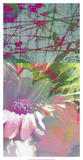 Pink Wonders I