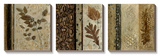 Earthen Textures