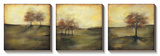 Autumnal Meadow I