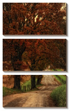 Dirt Road