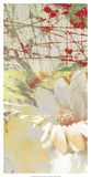 White Wonders II