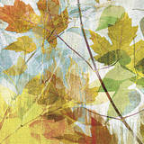 Thicket I Left