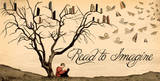 Read to Imagine