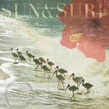 Sun & Surf