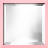 CONFETTI Carnation Mirror