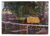 Belmont Paddock
