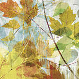 Thicket I Left