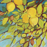 The Lemons Above