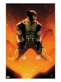 Wolverine 305 Cover