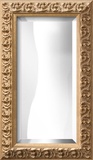 SOFIA Gold Wide Mirror