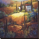 Morning Light Tuscany