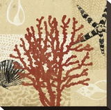 Coral Impressions III