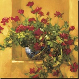 Ivy Geraniums