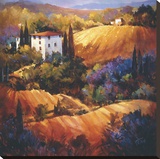 Evening Glow Tuscany