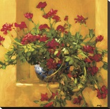 Ivy Geraniums