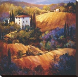 Evening Glow Tuscany