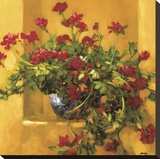 Ivy Geraniums