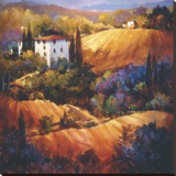 Evening Glow Tuscany
