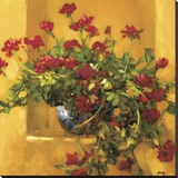 Ivy Geraniums