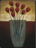 Tulips Aplenty II