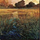 Golden Creek