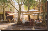 Summer in Provence