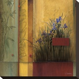 Terrazzo Garden