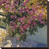 Steps and Summer Flowers