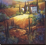 Morning Light Tuscany