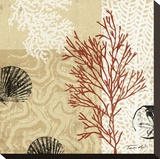 Coral Impressions II