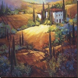 Morning Light Tuscany