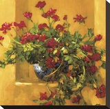 Ivy Geraniums