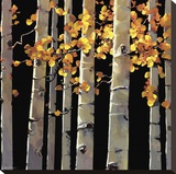 Aspen Grove