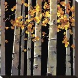 Aspen Grove