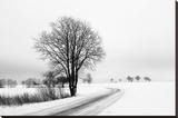 The Way Home