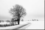 The Way Home