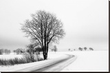 The Way Home
