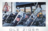 Harley Davidson