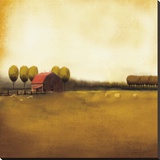 Rural Landscape II