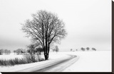 The Way Home