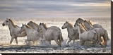 Running Horses