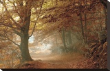 Autumn Dream