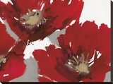 Red Poppy Forrest II